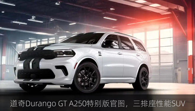  道奇Durango GT A250特别版官图，三排座性能SUV