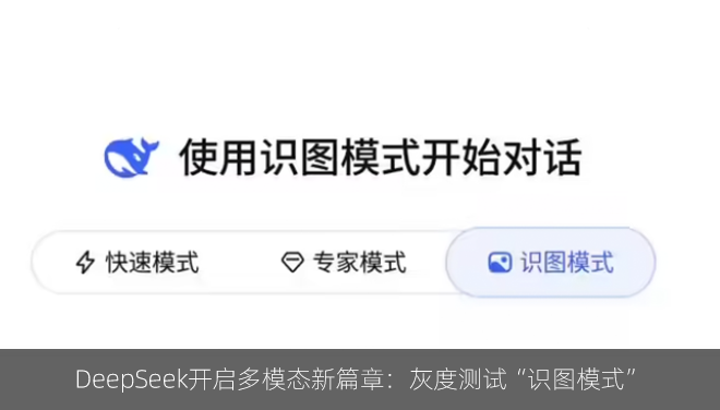 DeepSeek开启多模态新篇章：灰度测试“识图模式”