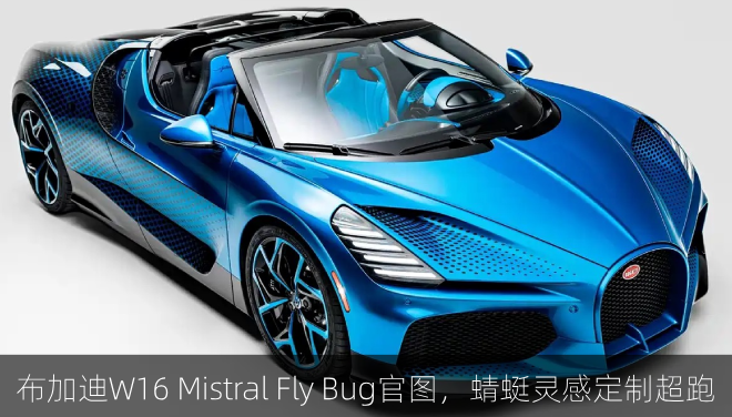  布加迪W16 Mistral Fly Bug官图，蜻蜓灵感定制超跑