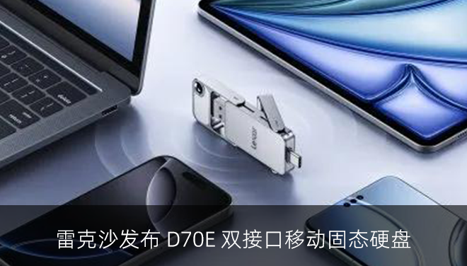  雷克沙发布 D70E 双接口移动固态硬盘：闪存盘造型，20Gbps 高速传输