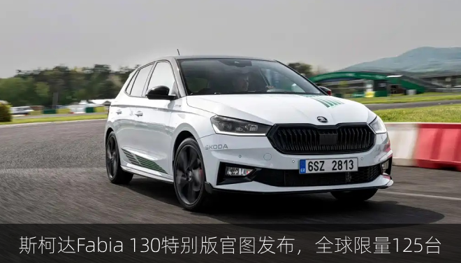  斯柯达Fabia 130特别版官图发布，全球限量125台