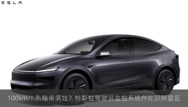 100km/h熟睡带俩娃？特斯拉驾驶员监控系统存在识别盲区