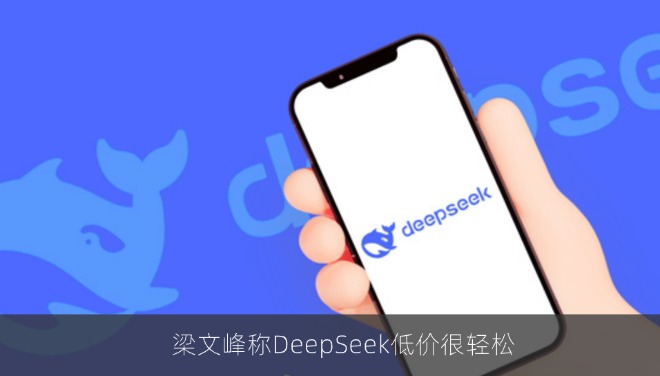DeepSeek梁文锋：赚合理利润就够了