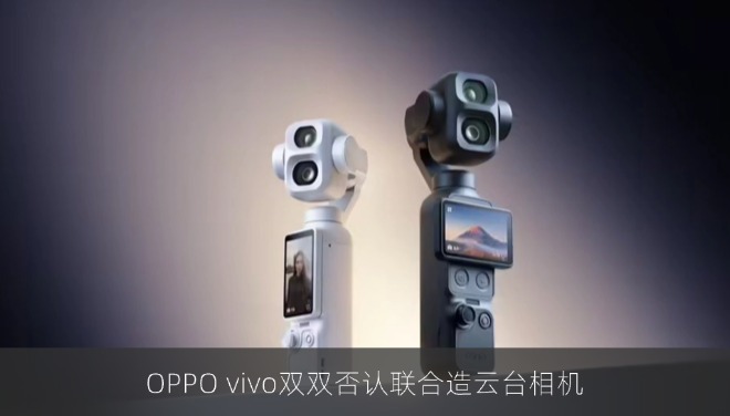 OPPO vivo双双否认联合造云台相机