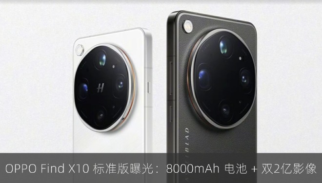 OPPO Find X10 标准版曝光：8000mAh 电池 + 双 2 亿影像